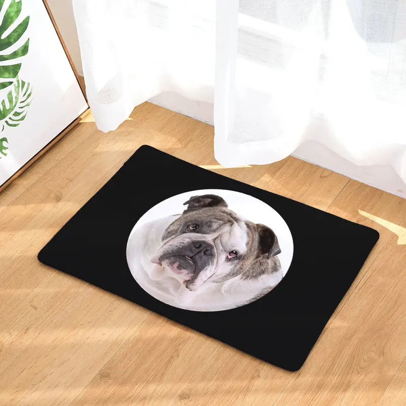Новая собака с крупной головой печати ковры Нескользящие кухонные коврики для дома гостиной коврики 40x60 см - Цвет: 2