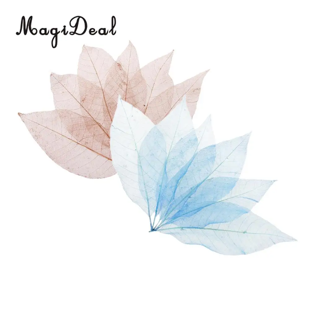 100Pcs Magnolia Skeleton Leaf Scrapbook Decoration Leaves Blue and Brown Decorative DIY Craft Leafs Artwork Embellishment