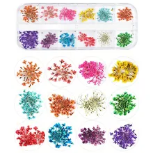 1 коробка настоящие Сушеные цветок Ammi Majus сухие растения для эпоксидной смолы кулон ожерелье Изготовление ювелирных изделий ремесло DIY аксессуары