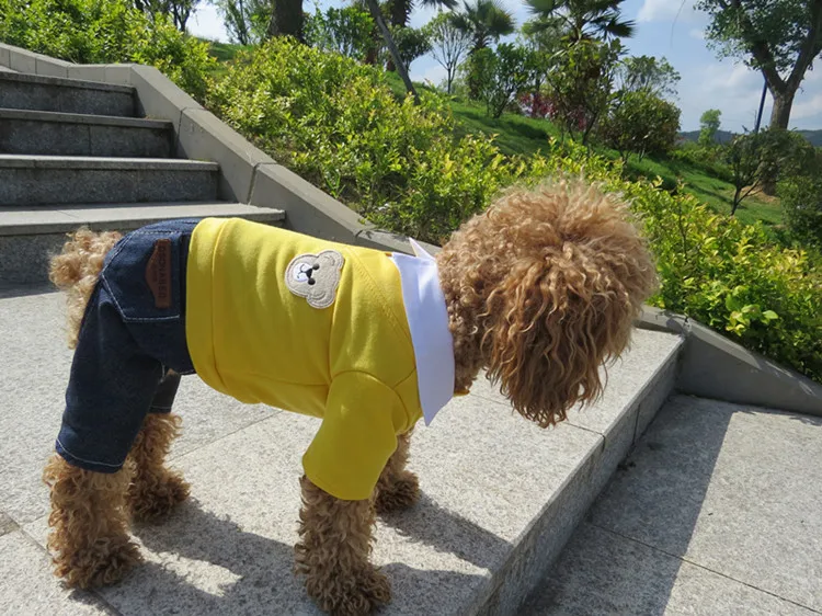dog clothes (4)