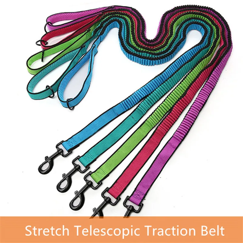 High Quality Soft Padded Mesh Foam Handle Nylon Walking Training Dog