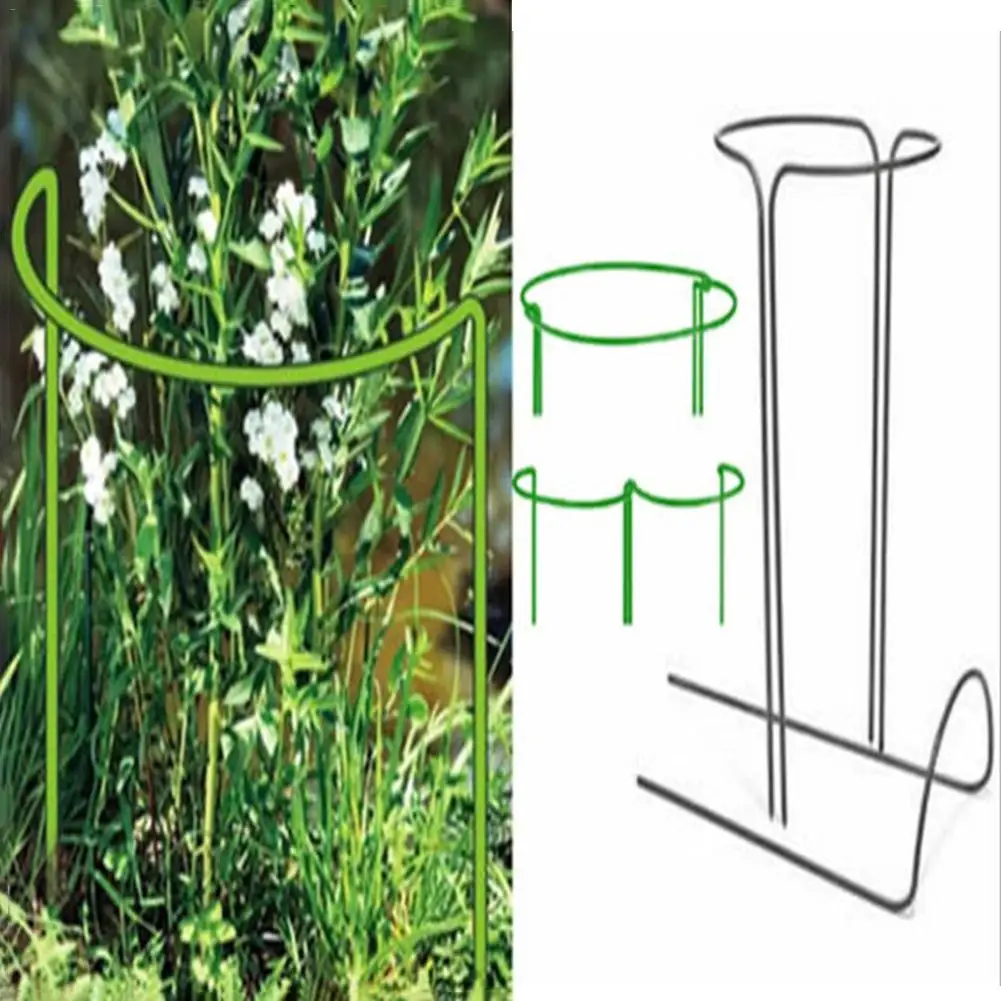 

2Pcs Garden Plant Support Rings Climbing Plant Support Cage For Clematis Morning Glory Lily Tomato Cucumber