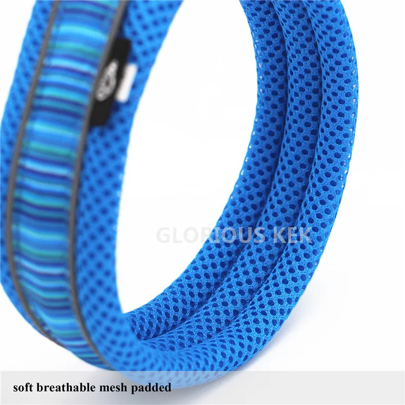Dog Collars (9)