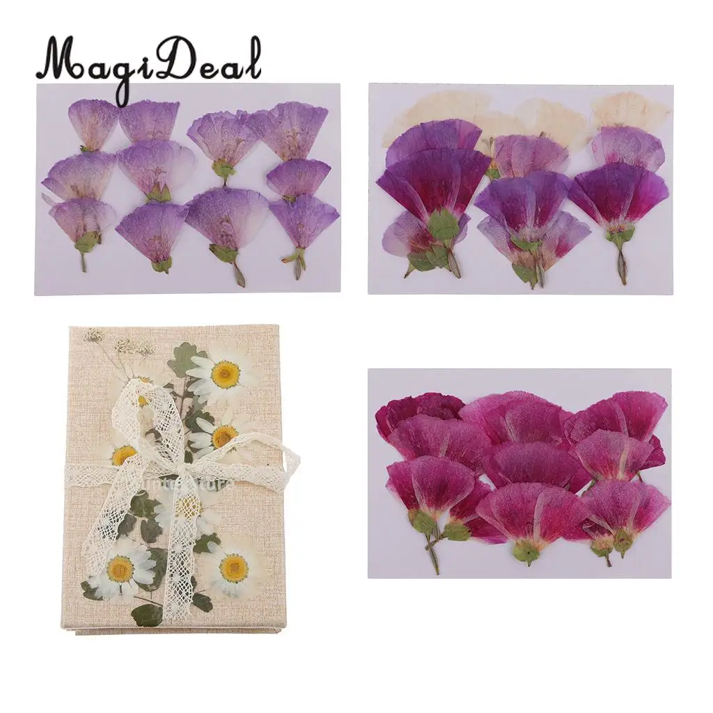 12pcs Beautiful Godetia Real Pressed Natural Dried Flowers for Art Craft Scrapbooking Card Making Resin Jewelry Making Craft DIY