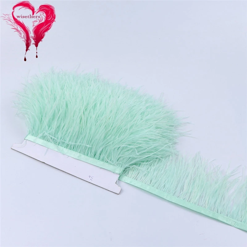 O33 8-10cm ostrich trims 4