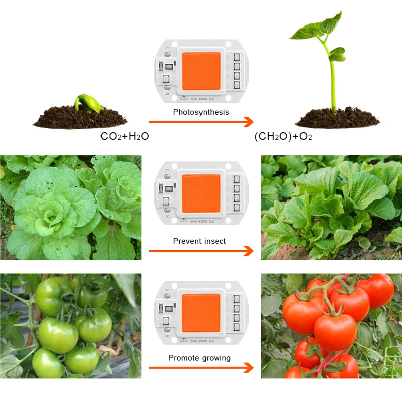 Светодиодный Grow COB Чип Фито лампа полного спектра AC220V 110V мощностью 10 Вт, 20 Вт, 30 Вт, 50 Вт, ручная сборка для комнатных растений рост рассады и цветок роста растений фитолампа