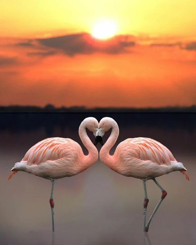 

14CT CROSS STITCH Diamond Painting Stones pink Flamingo love Diamond Embroidery Sale Diamond Full circular Display Home Decor