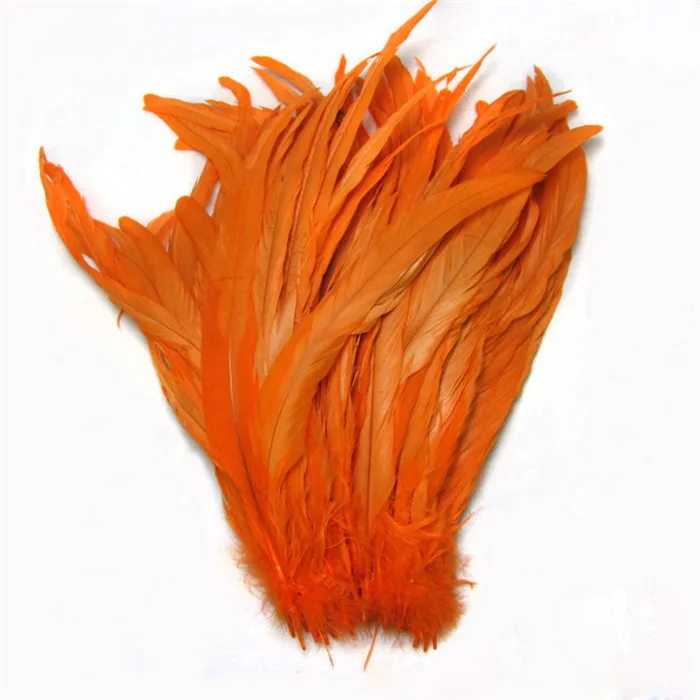 8 orange cock tail feather