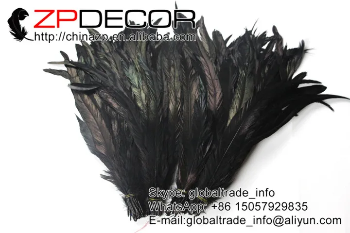dyed rooster tail feathers (156)