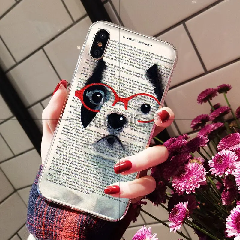 Book newspaper background Cute French Bulldog