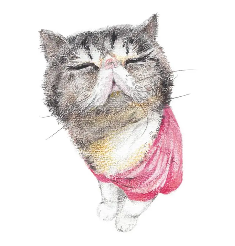 791d774e4c3d55ab5d507881bd9a89173c0fab2b39fe7-YF8XrF_fw658