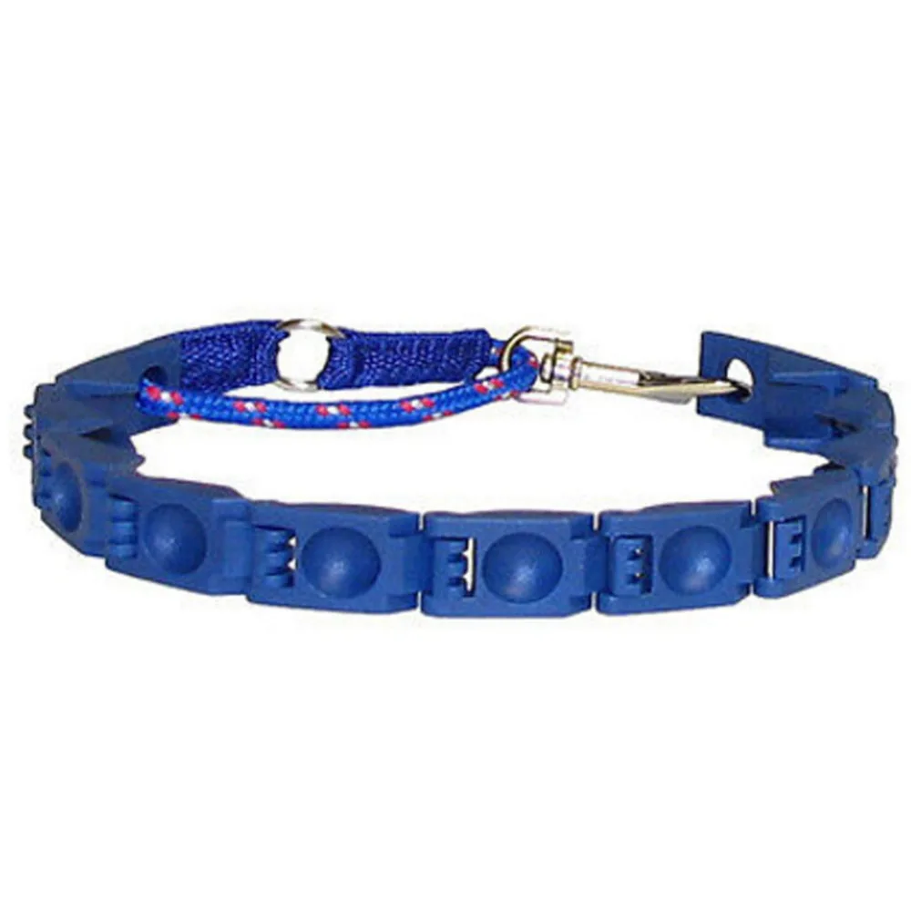 Buy Pro Training Pinch Dog Collars Dog Command Collar