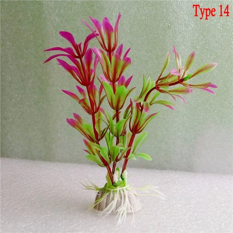 30451 (2)