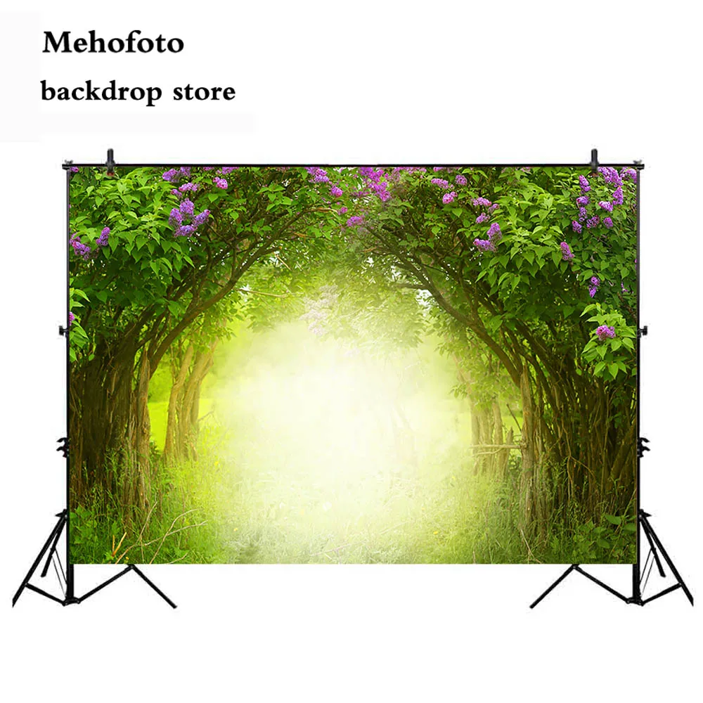 

Mehofoto Dreamy Fantasy Photography Backdrop Video Spring Sunday Photo Background Studio Party Decoration Fairy Tale Props 255