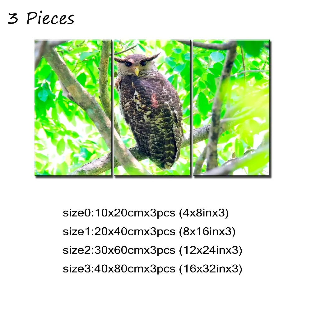 3P- 