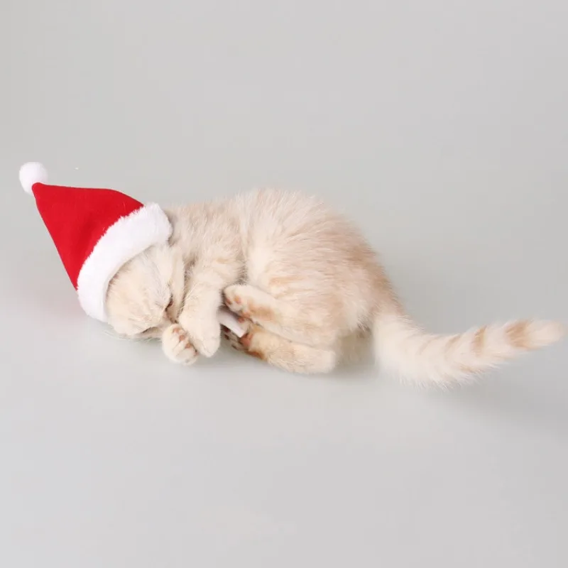 Зимние милые красивые праздничные товары для домашних животных Рождественский комплект одежды для домашних животных наборы шапка с шарфом для щенка кошки аксессуары