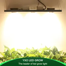 CREE CXB3590 300 W Диммируемый светодиод COB светать полный спектр светодиодный светильник 38000LM = ГЭС 600 W растущий лампы внутреннего подсветка для рассады