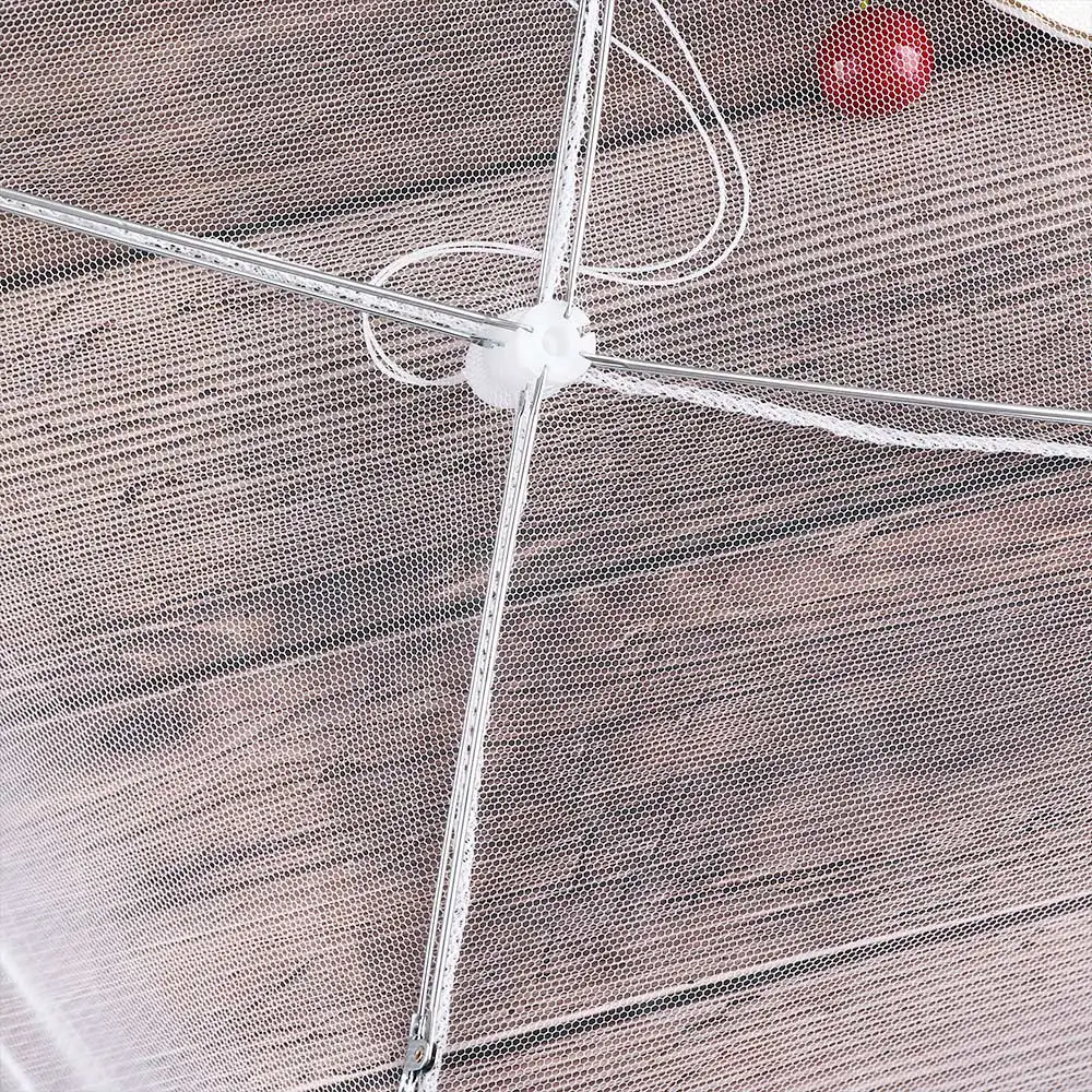 12 (3)