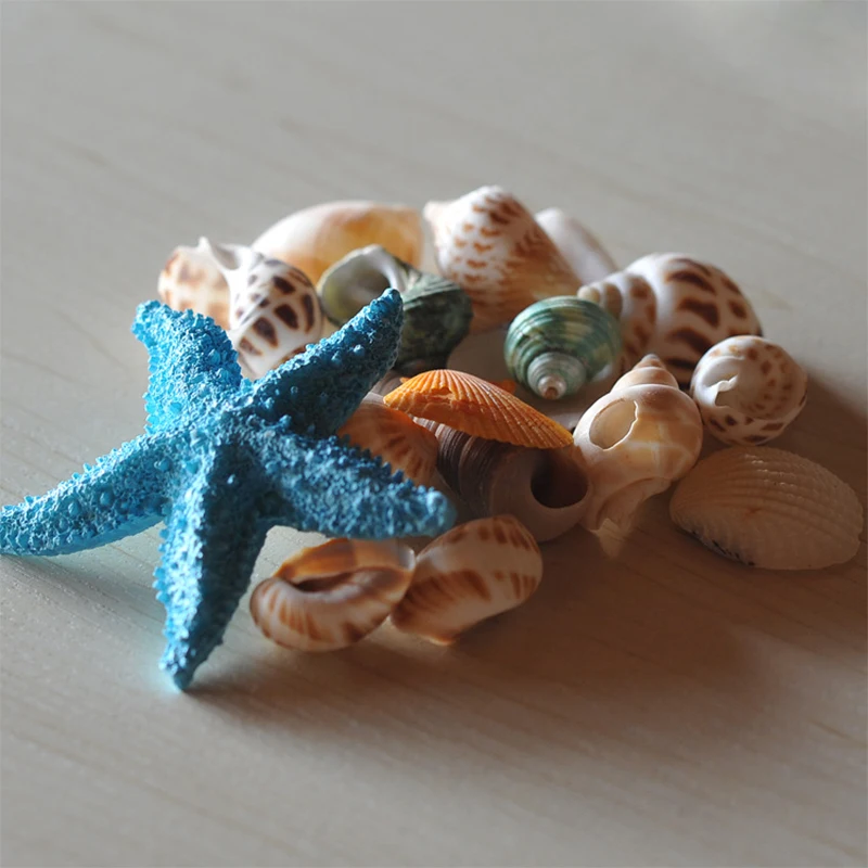 Натуральные раковины 1 упаковка красочные Раковины Морская звезда украшения для аквариума украшения