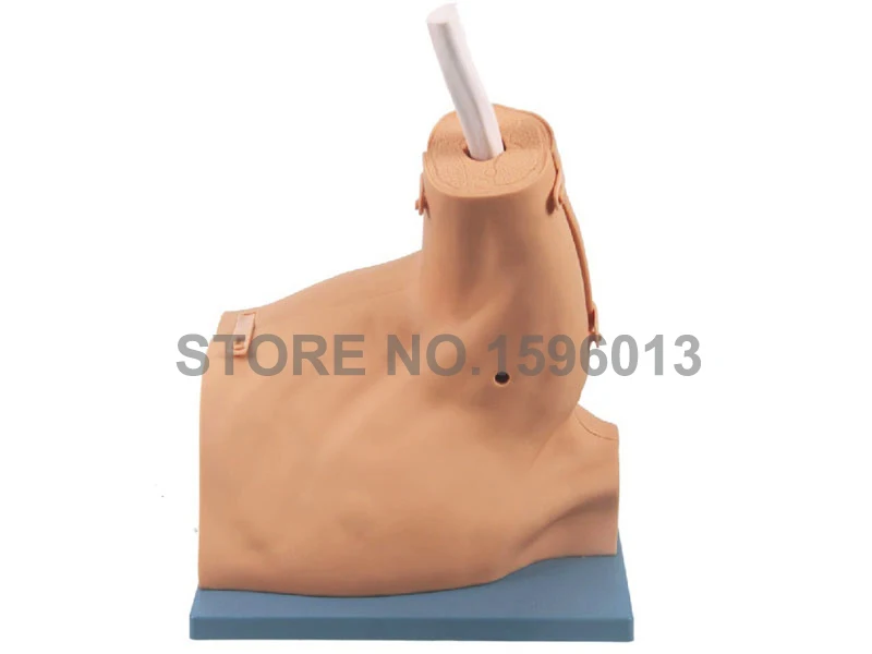 LV77 LV67 shoulder arthroscopy simulator 1