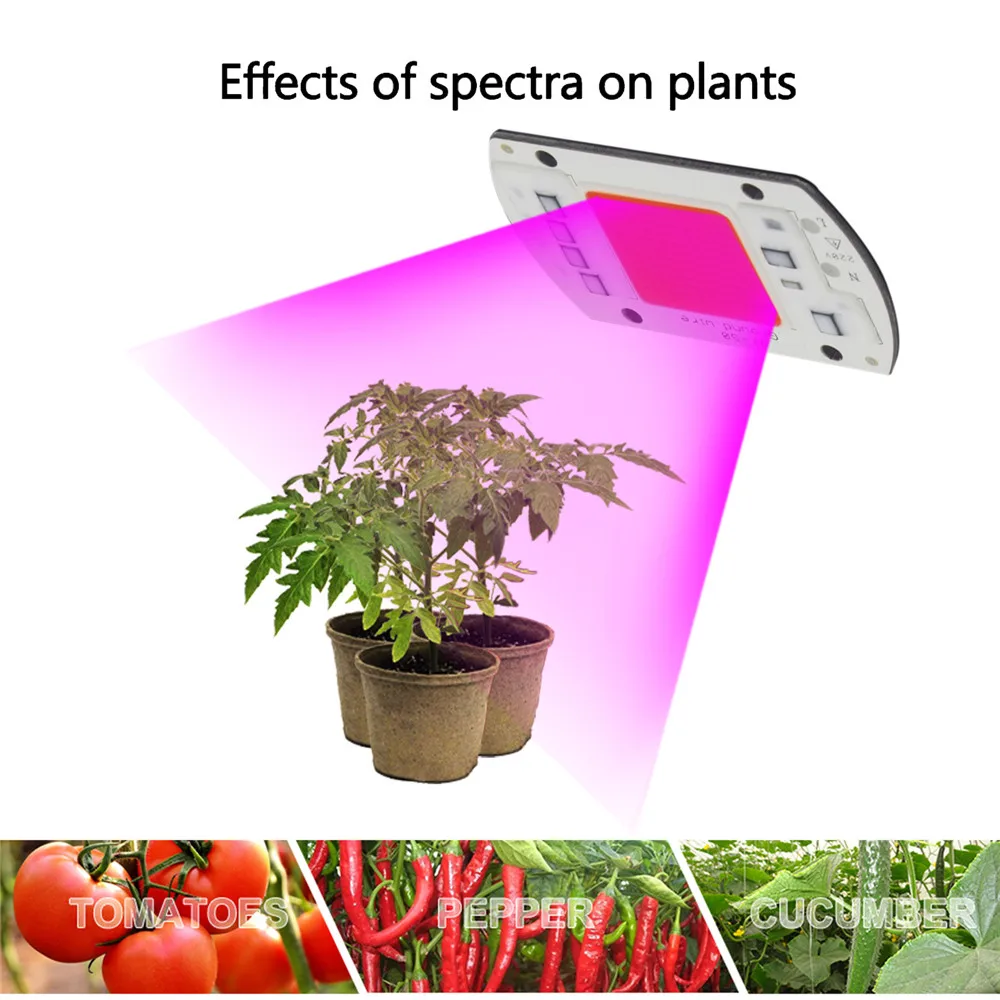 

10pcs Full Spectrum LED Grow Light Chip DIY 220V AC COB 380~780nm Actrual Power 20W 30W 50W Replace Sunlight for Indoor Plants