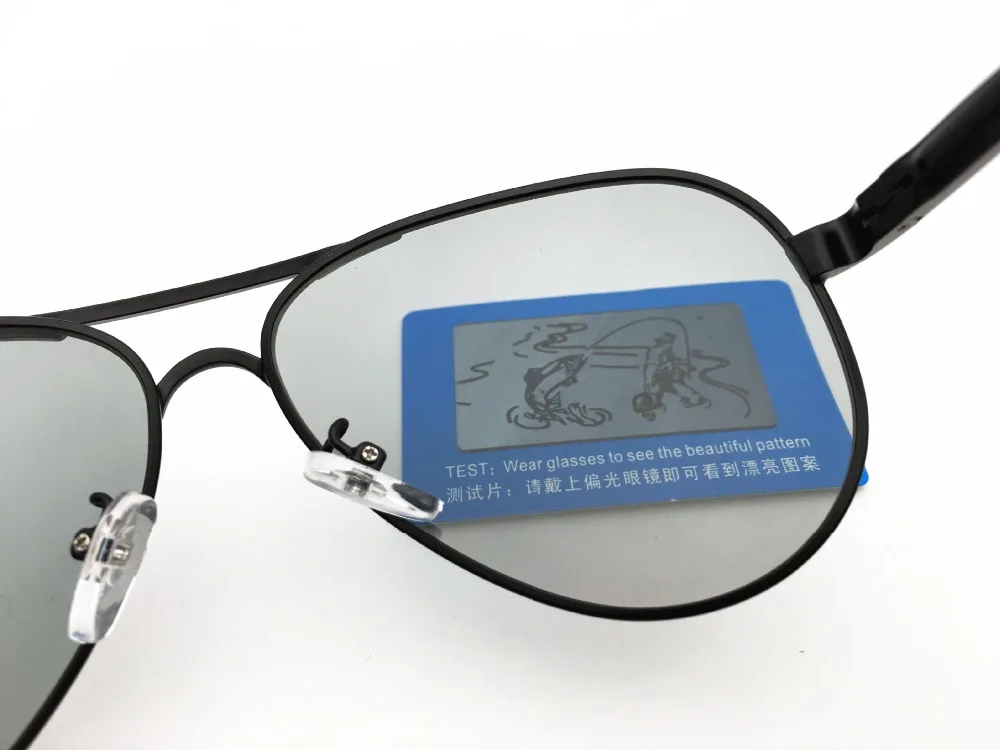 8669338416_345793114