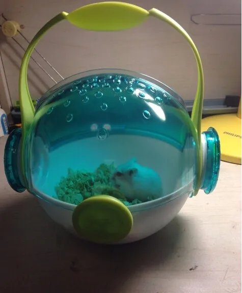 Большой хомяк клетка обитания playgound залить Guinea Pig suite Cage Хрустальные Роскошные cavy