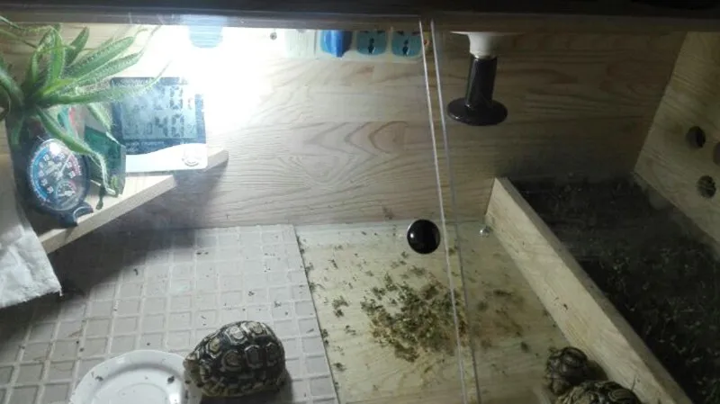 Ceramic Heater Pet Snake Tortoises Lizard Hedgehog Heating equipment Warm Box Attemperator Reptiles Heater (3)