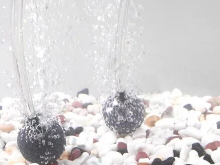 HTB1tzt0KFXXXXbrXXXXq6xXFXXXI