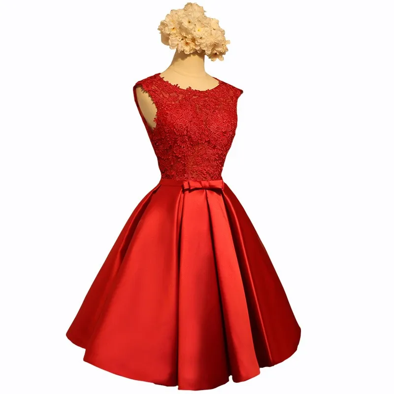 Lamya Short A Line Pink Stain Prom Dresses For Women 2016 Lace Wedding Party Fromal Dress Vestido De Festa EV2931 (3)