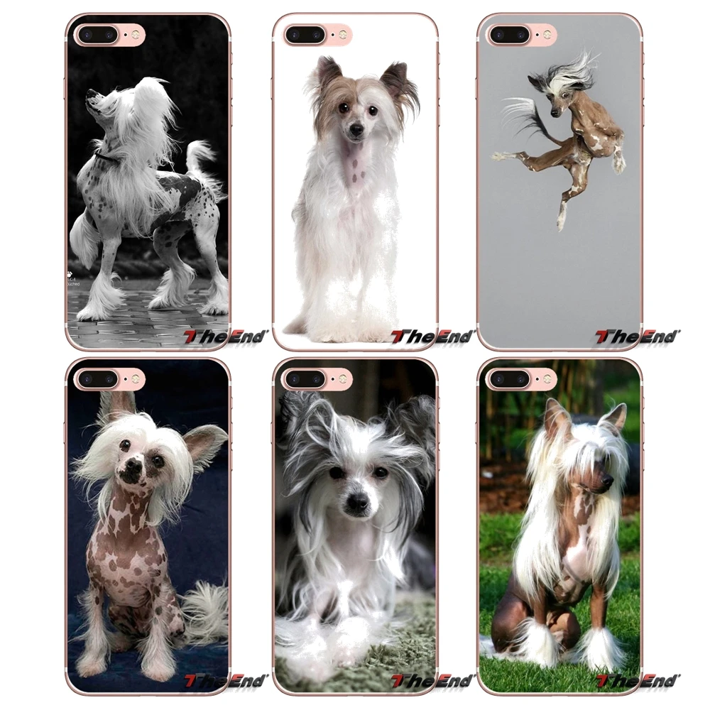 

For Apple iPhone X 4 4S 5 5S SE 5C 6 6S 7 8 Plus 6Plus 7plus 8plus Fundas Coque Dog of breed Chinese crested Cell Phone Case
