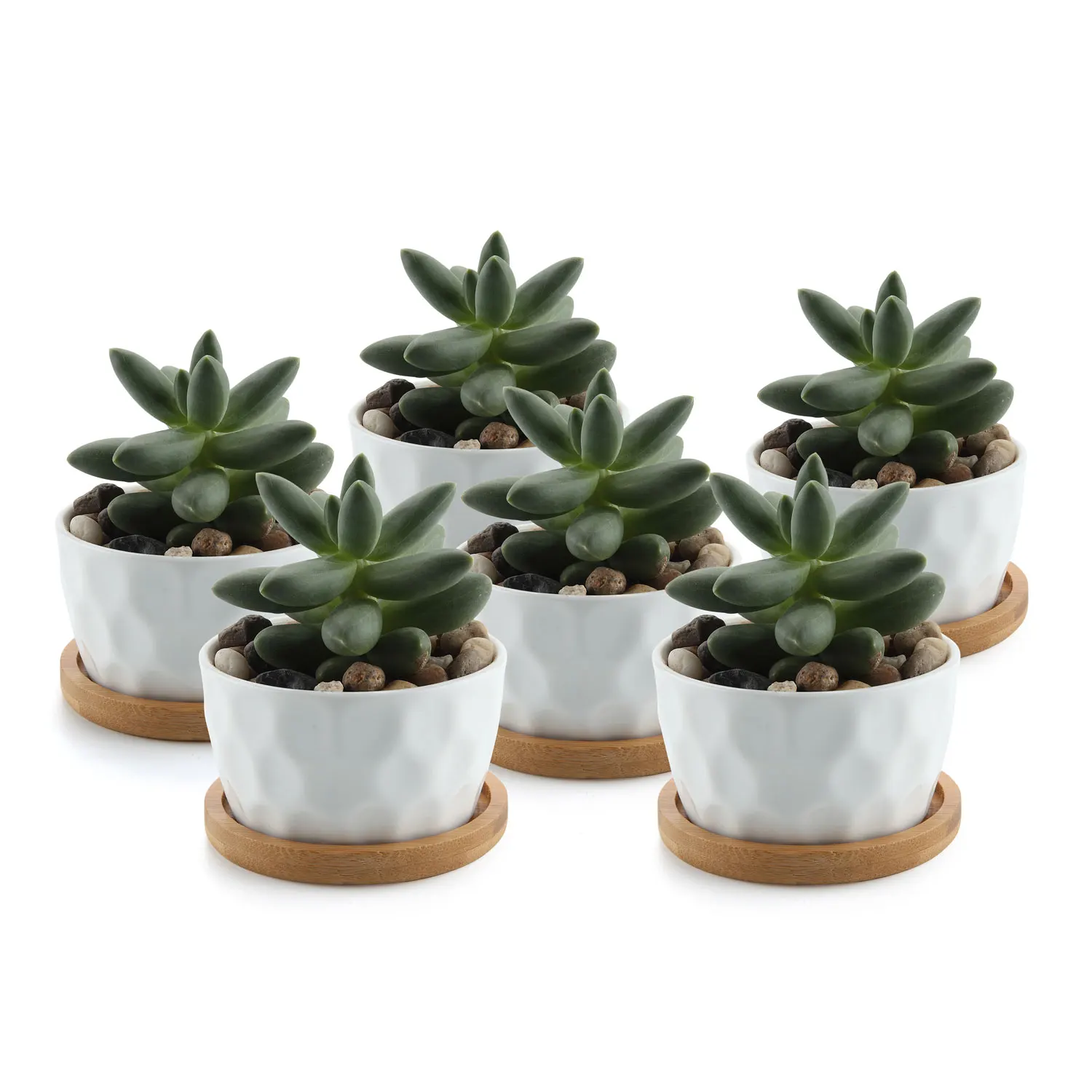 

T4U 3.2 Inch White Ceramic Contemporary Honeycomb Surface Succulent Cactus Plant Pot Container Bamboo Tray - Pack of 6