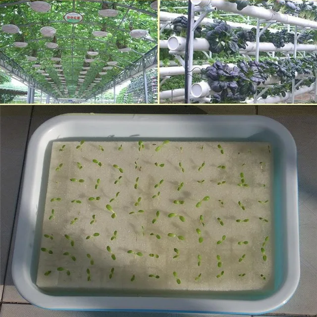 Hydroponic Seedlings Planters Cultivation Plant Vegetable 100pcs Sponge