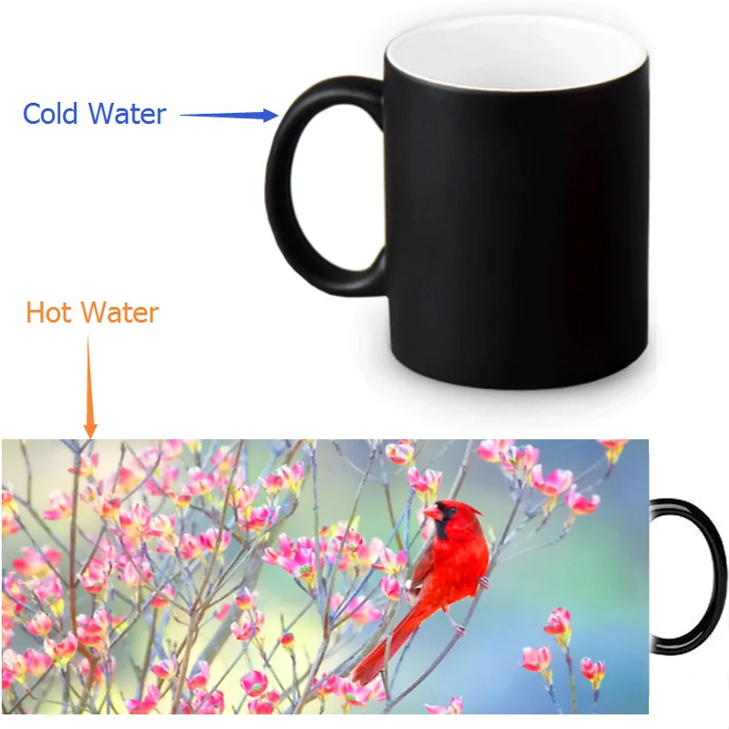 

Custom 12 OZ Morphing Mugs Northern Cardinal Bird Coffee Tea Milk Mug,Heat Sensitive Color Changing Black To White Ceramic Mug