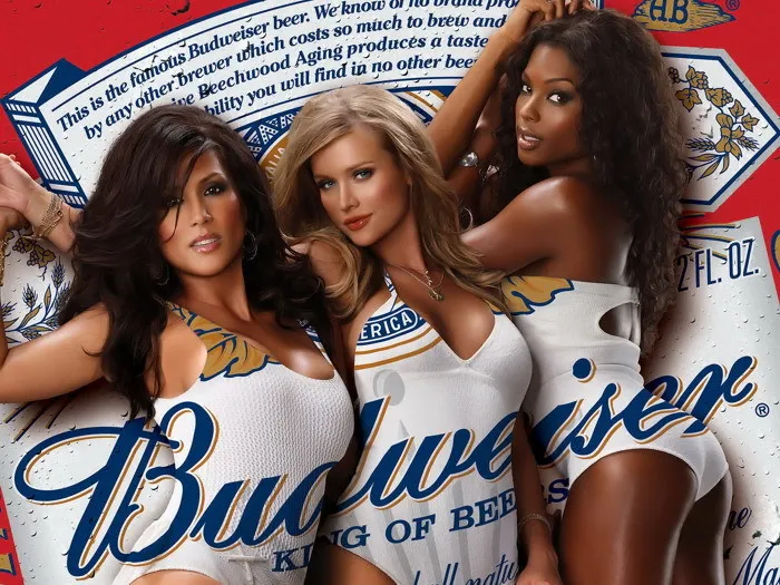 

Budweiser Girls Beer Advertising Hot Silk Poster Art Bedroom Decoration 1057