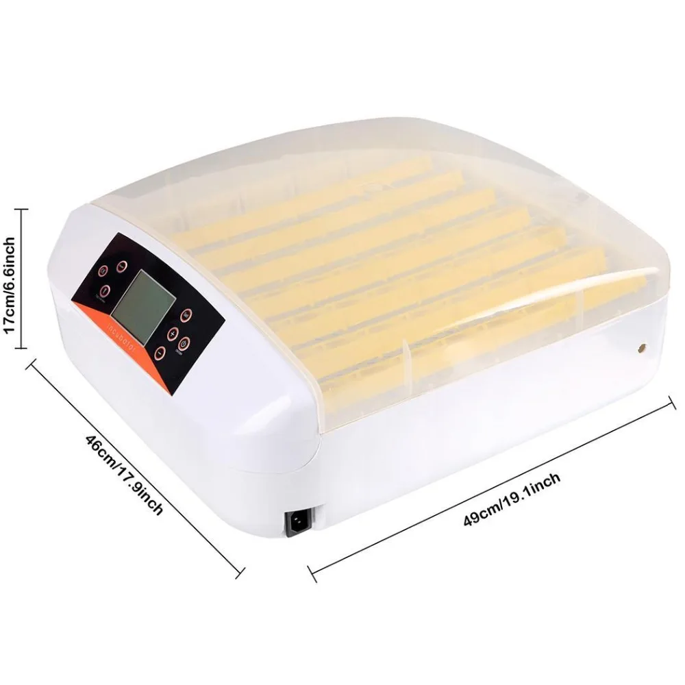 HTB1L2ppT5rpK1RjSZFhq6xSdXXal