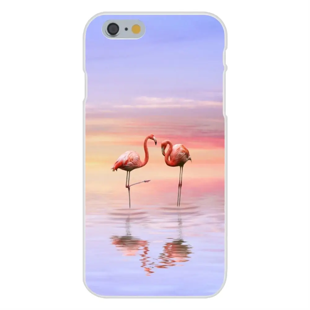 20140528185029_msshr.thumb.600_0