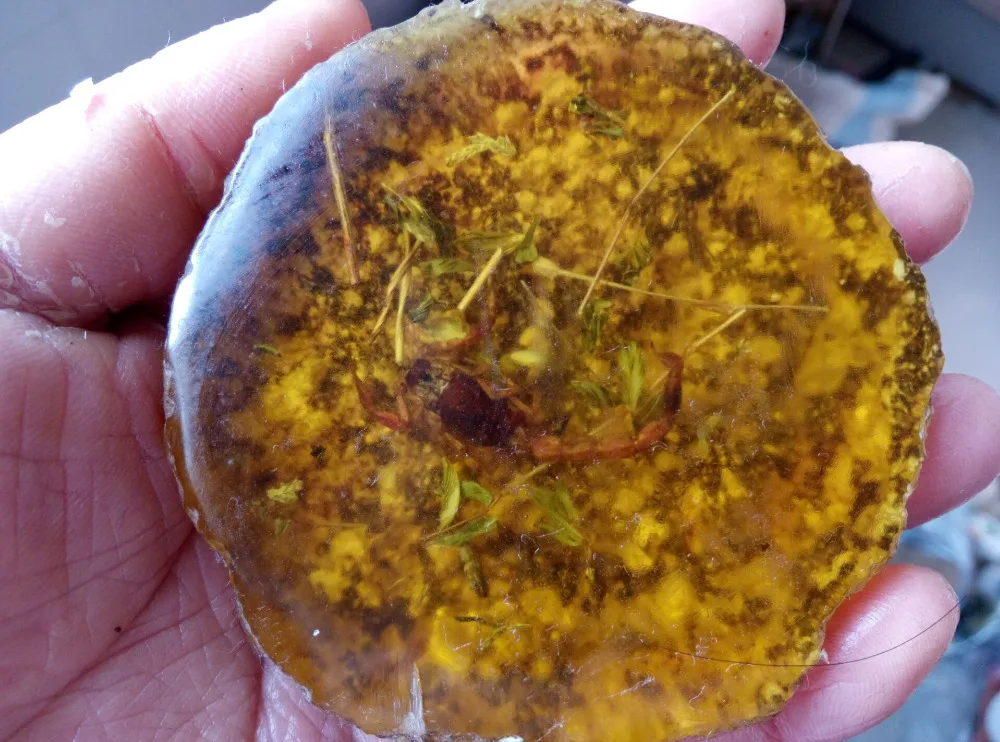 75.1g Rare Decorated Pure Handwork Amber imitations Scorpion Inlay Big Statue | Дом и сад