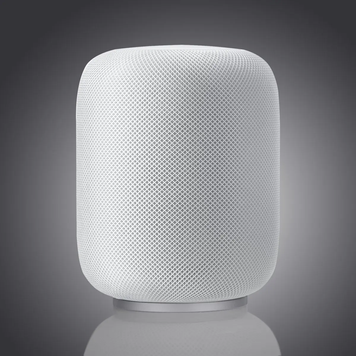 KaRtice for Apple HomePod Stand Stainless Steel