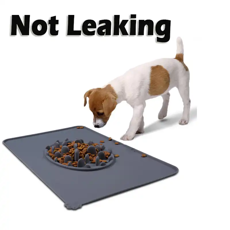 Pet Dogs Food Bowl Slow Feeder Not Leaking Anti Gulping 2 In 1 Mat