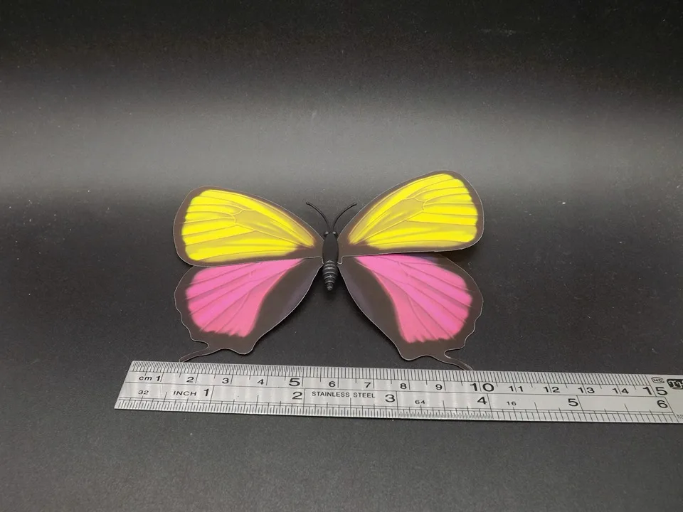 I236-Butterfly (9)