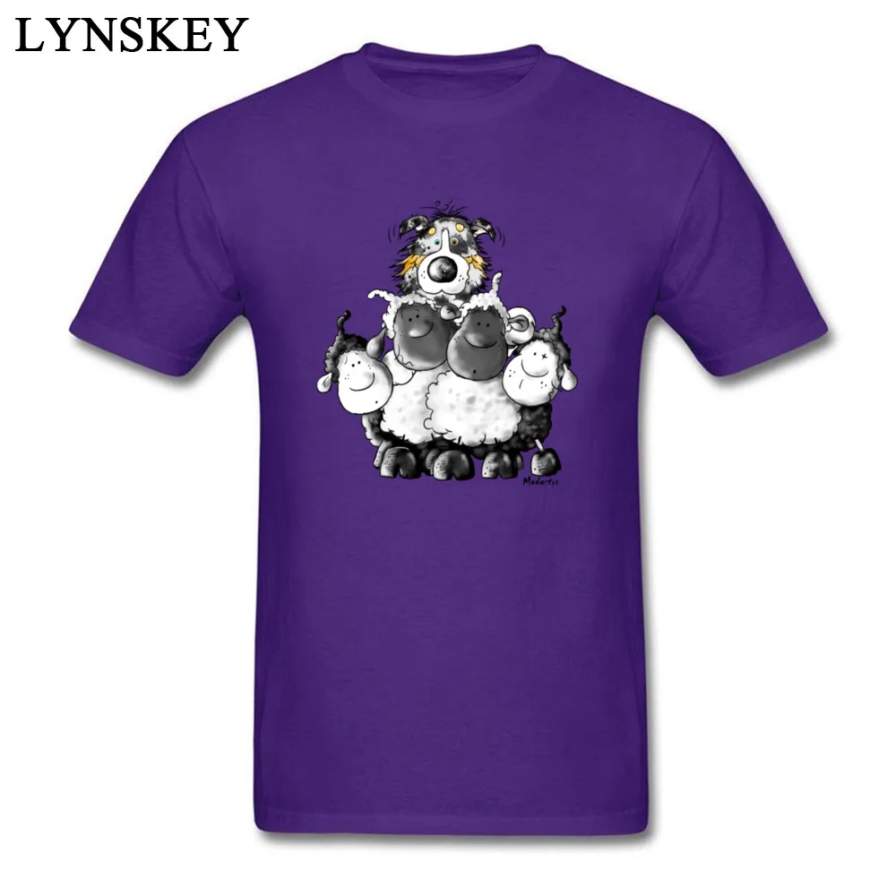 Australian Shepherd and sheep - Dog_purple