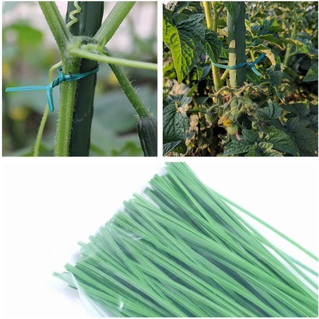 100 pcs Verde Giardinaggio Vite Rampicante Piante Cavo di Linea di Collegamento 100 pcs Verde Giardinaggio Vite Rampicante Piante Cavo di Linea di Collegamento