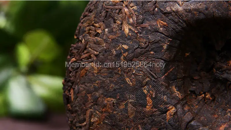 PUER-22-100 (2)
