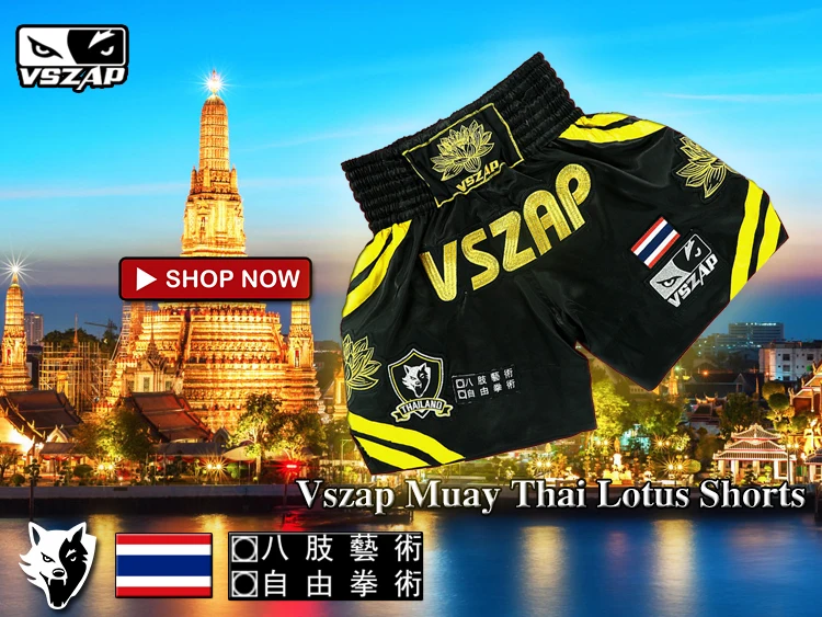 VSZAP вышивка боксерские шорты тайские боксерские шорты Лотос Тигр Бои ММА Санда мужские и женские Фитнес Тренировочные штаны S