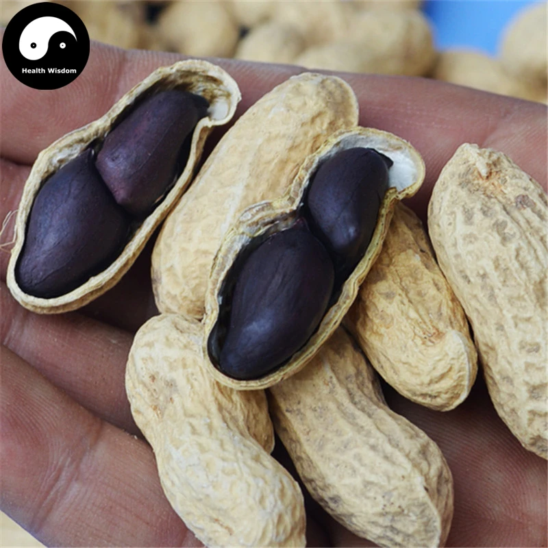 

Buy Black Peanut Fruit Semente 60pcs Plant Chinese Earth Bean Groundnut Arachis Hypogaea