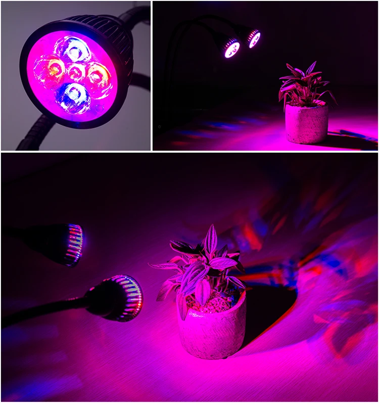 JZ-SW-Bulb_06