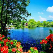 Тихий озеро воды Искусство Ручная роспись Творческий цифровой самодельная картина маслом живопись по номерам 24 цвета пигментная кисть