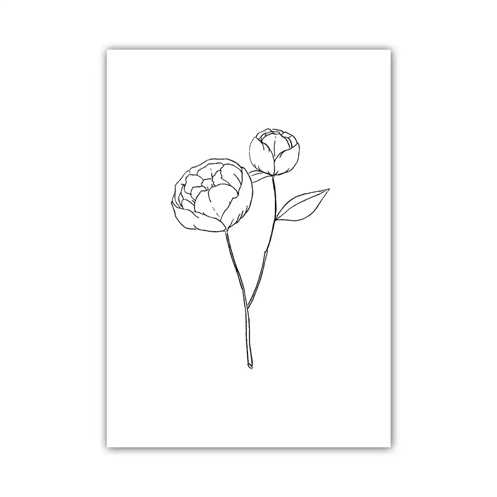 Simple Style White And Black Line Drawing Flower Unframed Canvas