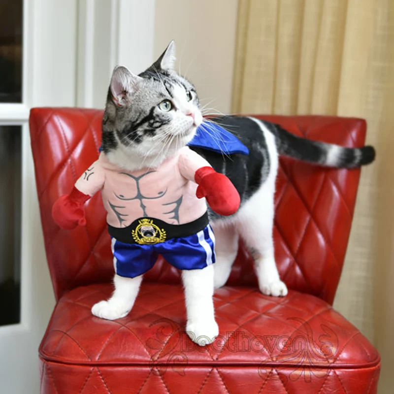 Funny Dog Cat Costumes Boxer Cosplay Suit Pet Clothing Halloween Christmas Uniform Clothes For Puppy Dogs Costume for a cat Funny Dog Cat Costumes Boxer Cosplay Suit Pet Clothing Halloween Christmas Uniform Clothes For Puppy Dogs Costume for a cat